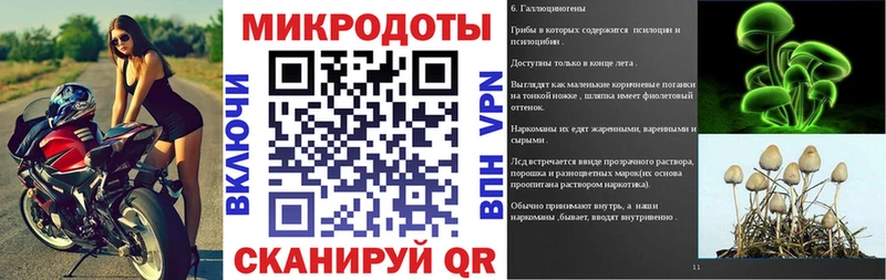 Псилоцибиновые грибы мухоморы  наркота  Вилючинск 